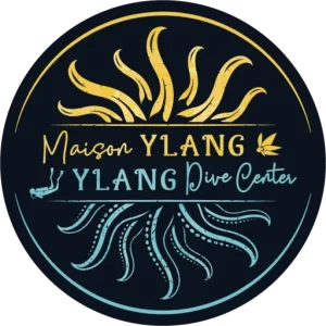 logo hôtel maison ylang ambatoloaka nosy be